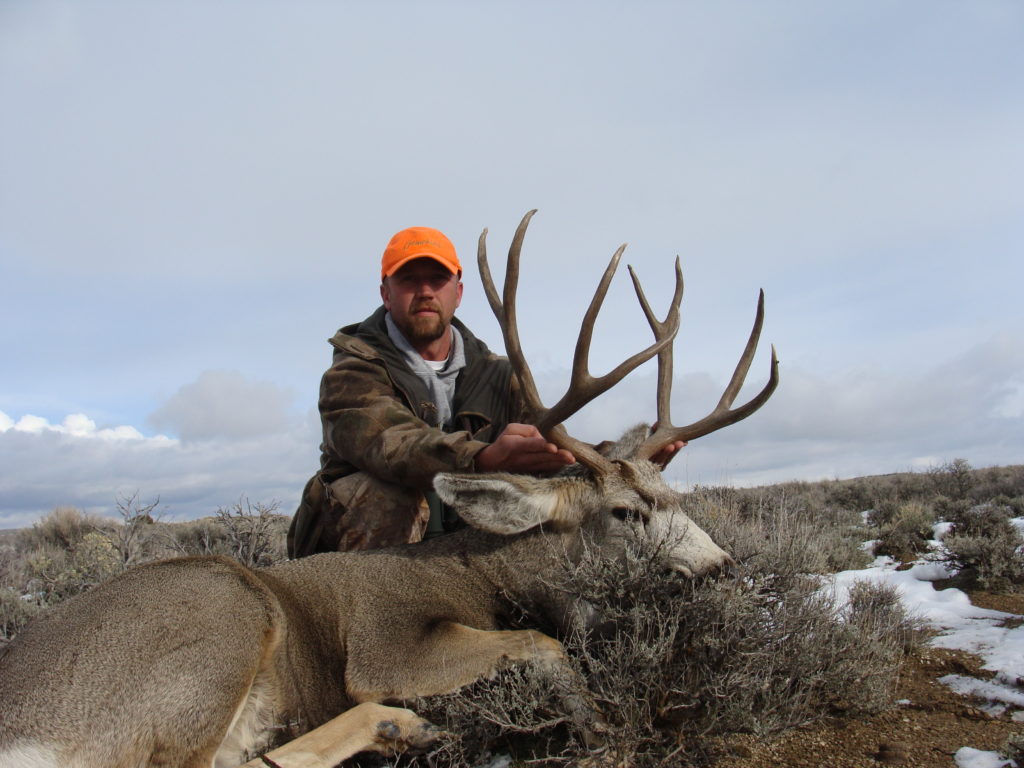 Mule Deer Hunts - Utah High Country Outfitters & Archery
